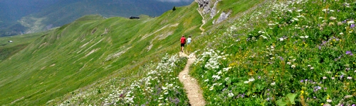 Le col de la fenêtre depuis le col du Joly