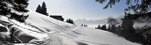 Le sentier des Pointières depuis les Pointières