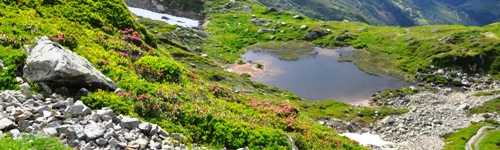 Le rocher des Enclaves depuis le col du Joly