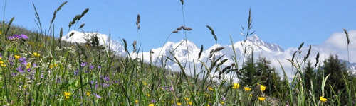 Mont Bisanne depuis Villard